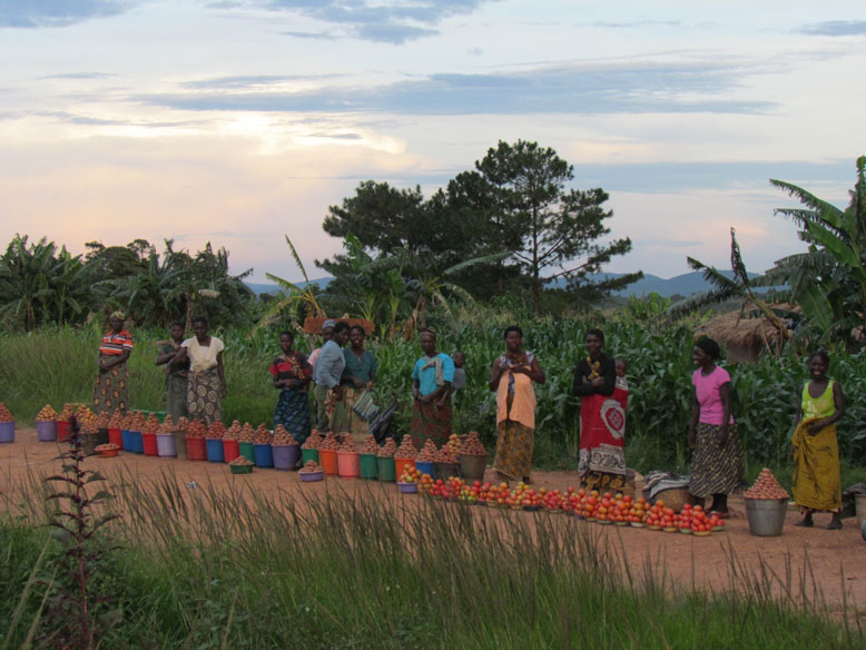 imagen tipica  de  mujeres vendiendo fruta